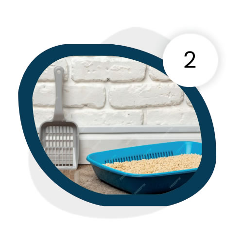 Toz ve Kimyasal İçermeyen Yapı